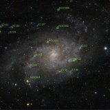 M33 -- Labeled